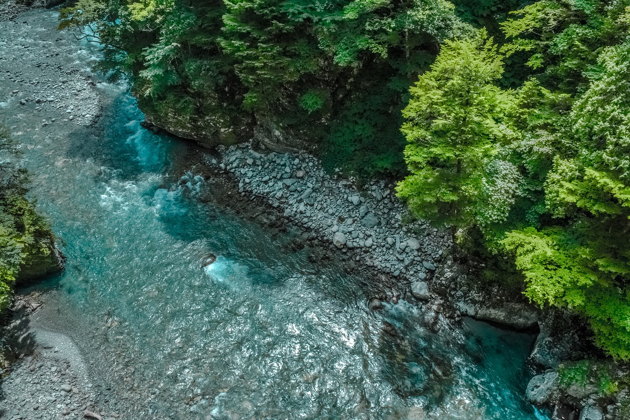 鱼缸造景用什么石头好用（龙鱼缸适合放什么石头造景） 广州景观设计 第1张