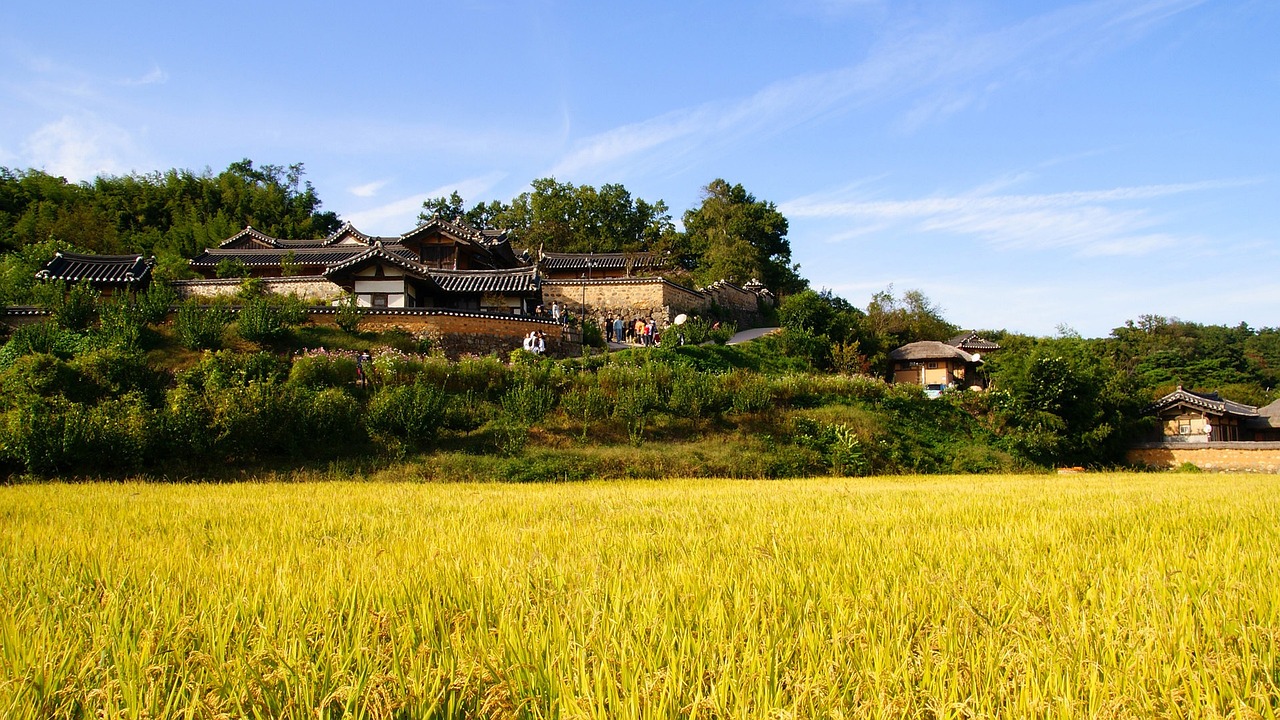 海口龙鱼批发市场地址在哪里呀（海口哪里卖龙鱼） 武吉美拉金龙鱼