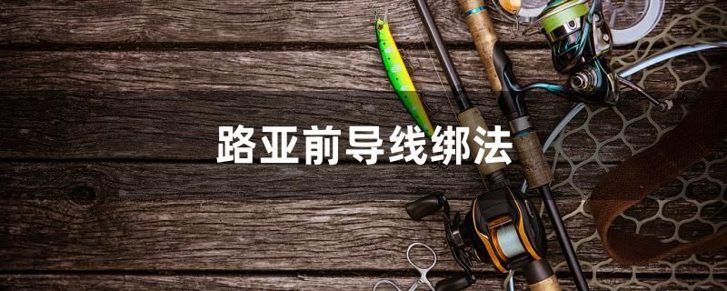 路亚前导线绑法 祥龙龙鱼专用水族灯