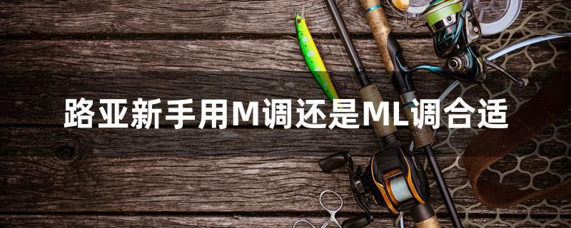 路亚新手用M调还是ML调合适 野彩鱼