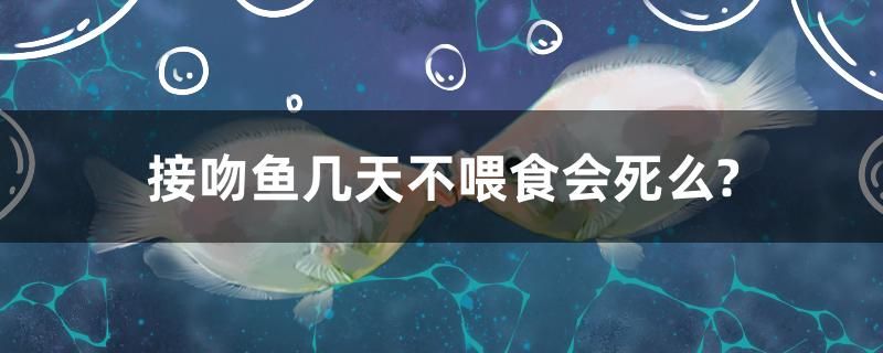 接吻鱼几天不喂食会死么？ 委内瑞拉奥里诺三间鱼