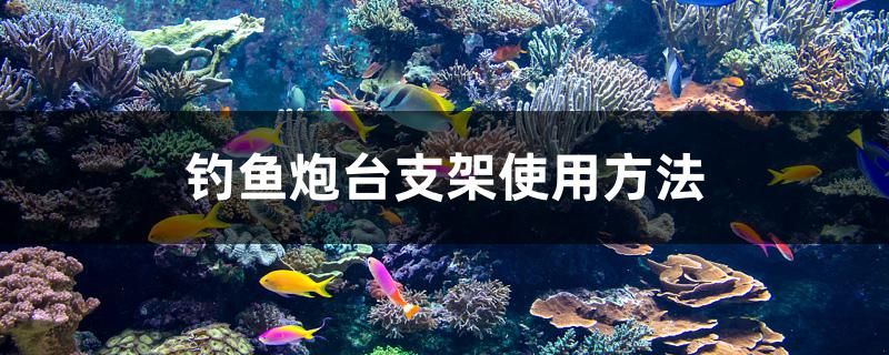 钓鱼炮台支架使用方法 鱼粮鱼药