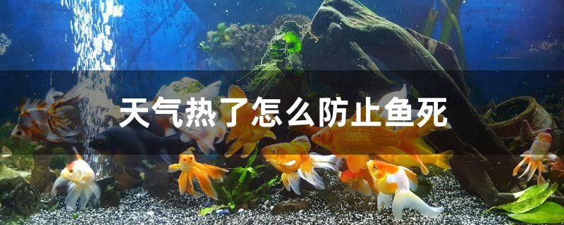 天气热了怎么防止鱼死