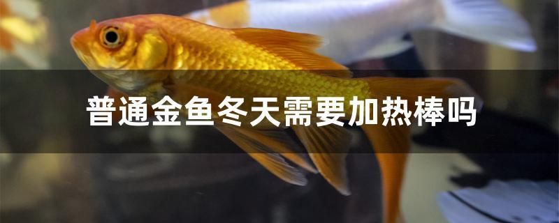 芜湖鱼缸哪里有卖的啊（芜湖鱼缸哪里有卖的啊多少钱）