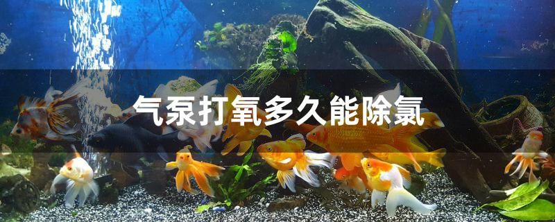 气泵打氧多久能除氯 白化火箭