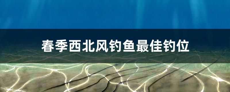 春季西北风钓鱼最佳钓位 水族用品