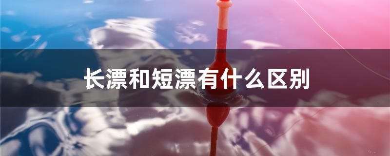 长漂和短漂有什么区别 巴卡雷龙鱼