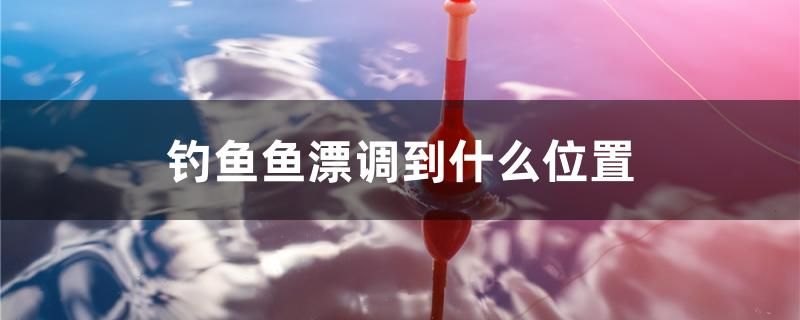 钓鱼鱼漂调到什么位置 慈雕鱼