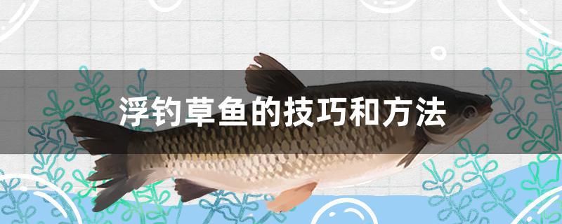 浮钓草鱼的技巧和方法