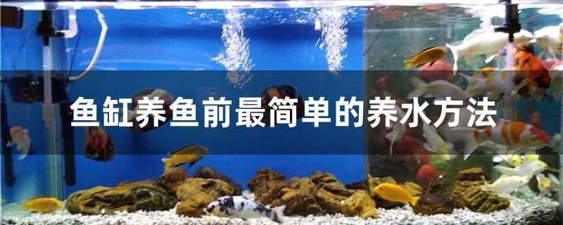 鱼缸养鱼前最简单的养水方法