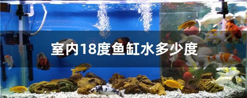 室内18度鱼缸水多少度 飞凤鱼苗