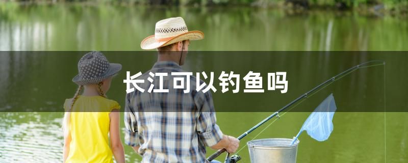 长江可以钓鱼吗 福满钻鱼