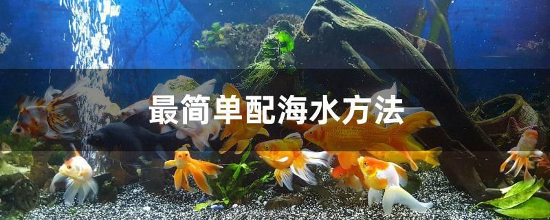 最简单配海水方法 国产元宝凤凰鱼