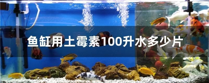 鱼缸用土霉素100升水多少片 黑白双星