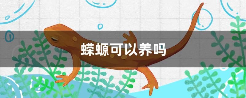 蝾螈可以养吗 水族用品