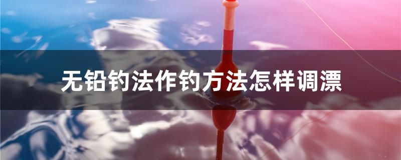 无铅钓法作钓方法怎样调漂 定时器/自控系统