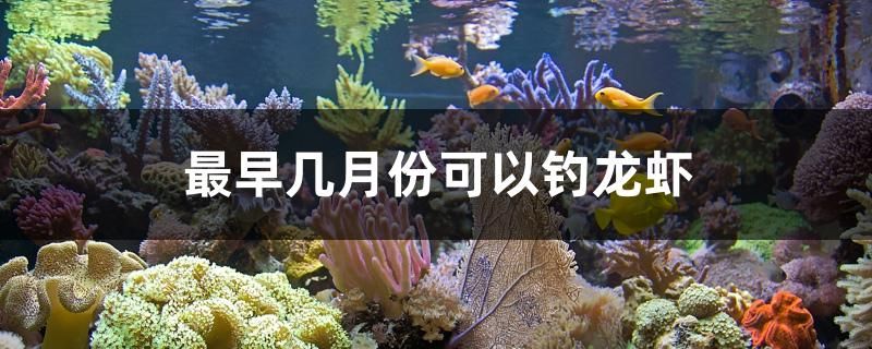 最早几月份可以钓龙虾