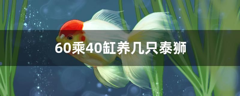 鱼缸哪种品牌好一点（生态水族箱品牌哪个好）