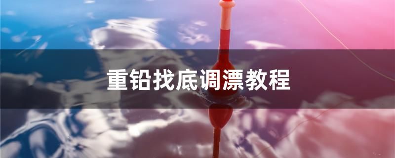 重铅找底调漂教程 金龙鱼粮