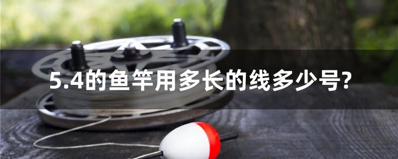 5.4的鱼竿用多长的线多少号？ 广州景观设计