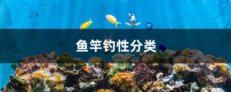 鱼竿钓性分类 充氧泵