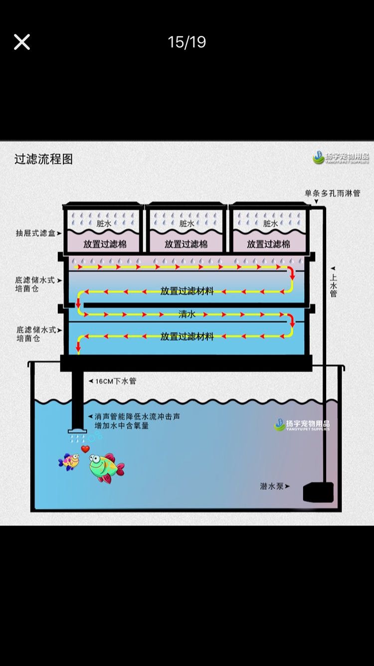 鱼缸超滤网（过滤网鱼缸） 泰国虎鱼