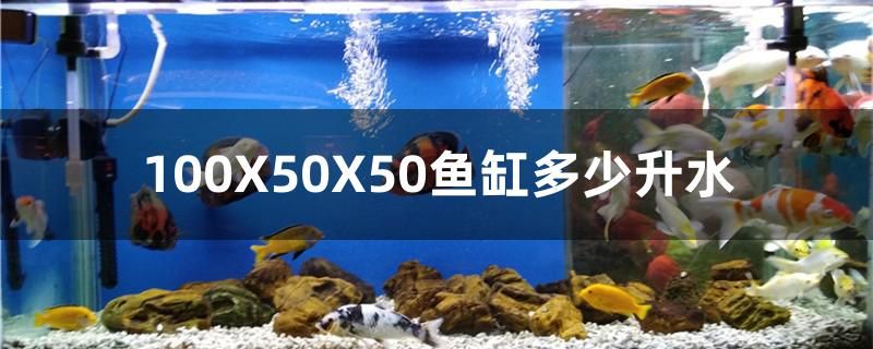 100X50X50鱼缸多少升水