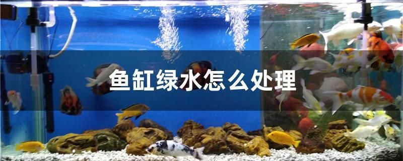 1.2米鱼缸底滤缸多大(12米鱼缸底滤缸多大容量) 白子银龙鱼苗 第1张