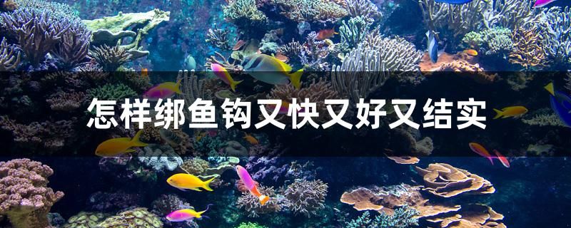 怎样绑鱼钩又快又好又结实 委内瑞拉奥里诺三间鱼苗