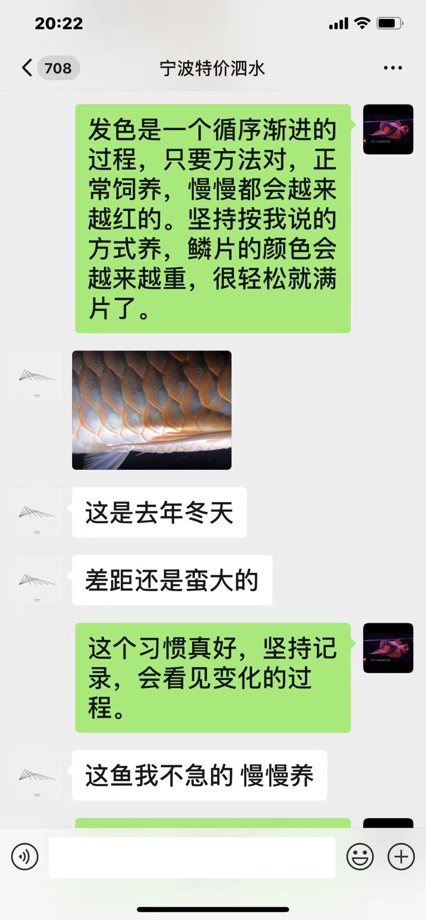 一只泗水的蜕变 观赏鱼论坛 第2张