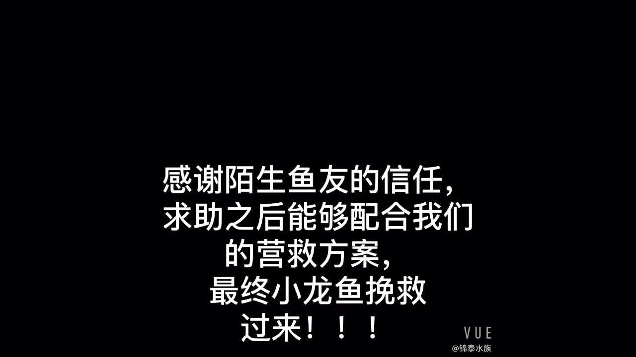 感谢陌生鱼友的信任 观赏鱼论坛