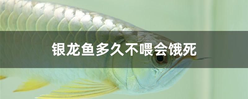 水族鱼缸怎么安装视频教程图解（水族鱼缸怎么安装视频教程图解大全）