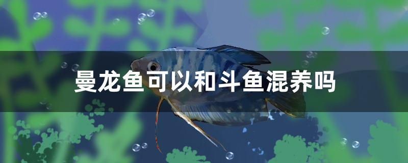 丹东水族批发市场地址在哪儿呀（丹东有水族馆吗）