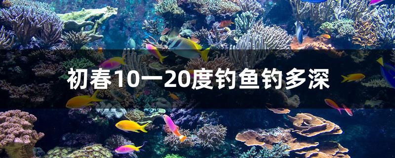 初春10一20度钓鱼钓多深 观赏鱼