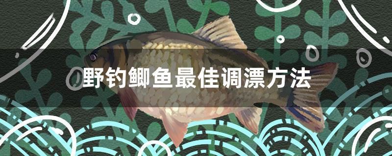 野钓鲫鱼最佳调漂方法 南美异型鱼