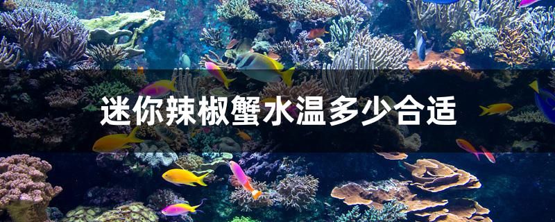 迷你辣椒蟹水温多少合适 黑白双星