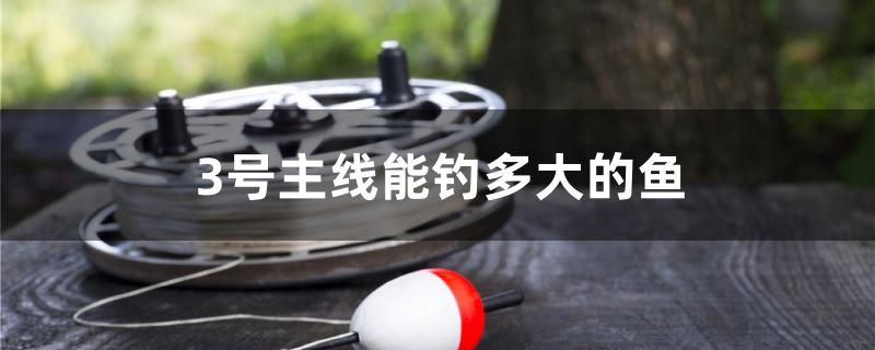 天津鱼缸厂招聘信息电话（ 天津最大鱼缸市场）