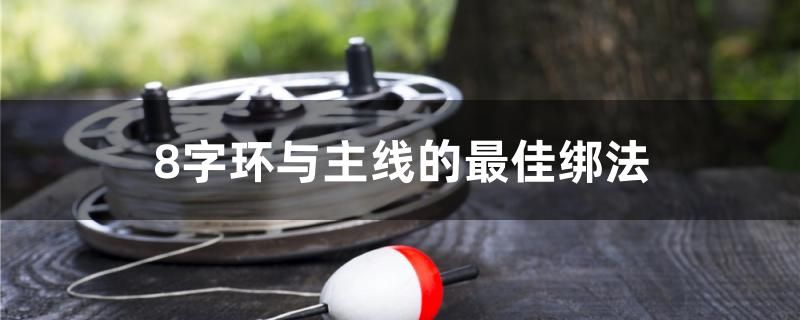 8字环与主线的最佳绑法 黄鳍鲳鱼