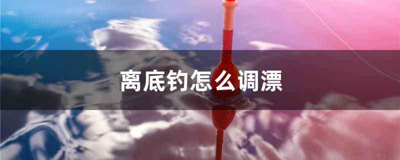 离底钓怎么调漂