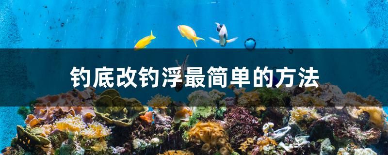 钓底改钓浮最简单的方法 龙鱼百科