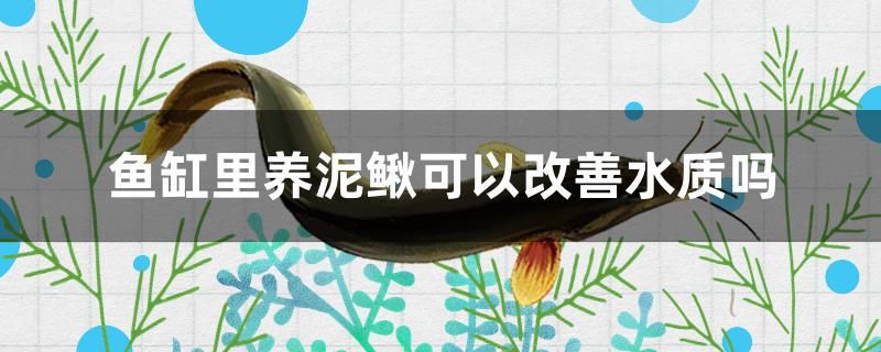 底滤鱼缸溢流区（底滤鱼缸溢流区声音大） 其他品牌鱼缸