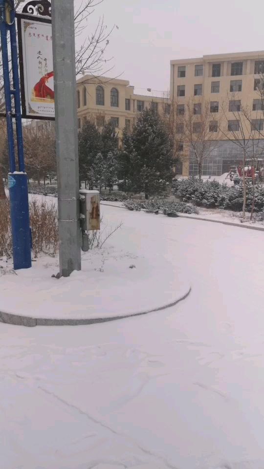 雪 观赏鱼论坛 第1张