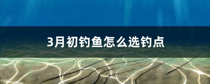 3月初钓鱼怎么选钓点 新加坡号半红龙鱼（练手级红龙鱼）