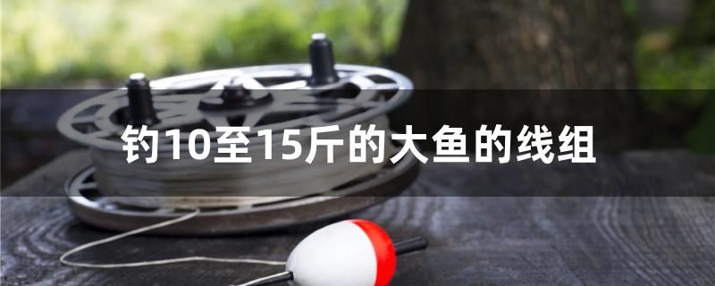 钓10至15斤的大鱼的线组 红头利鱼