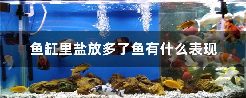 鱼缸造景沙子需要清洗吗 鱼缸放入造景沙后水浑浊