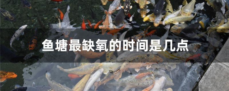 鱼塘最缺氧的时间是几点 野彩鱼