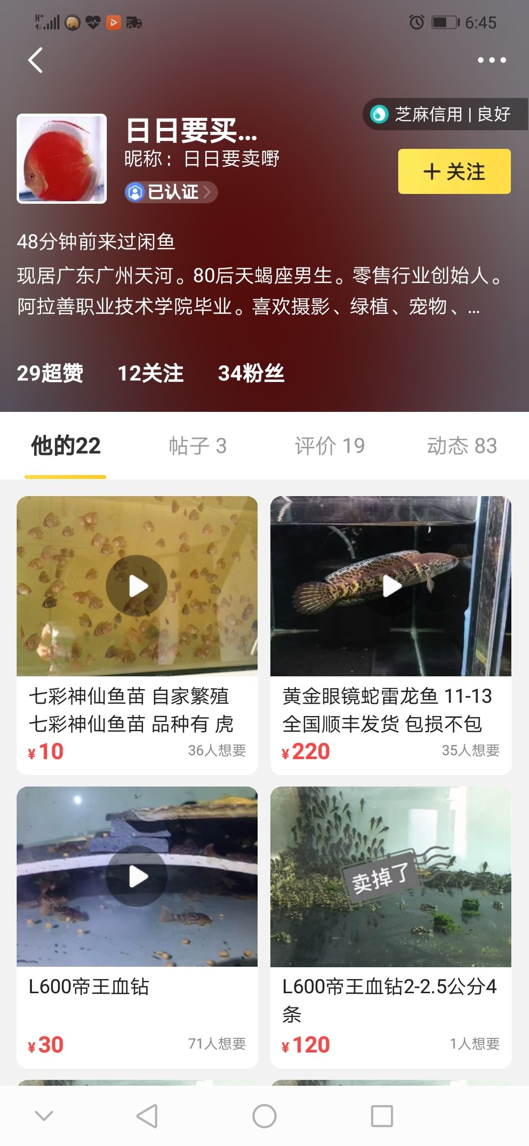 曝光一个广州无良卖七彩的商家 观赏鱼论坛 第1张