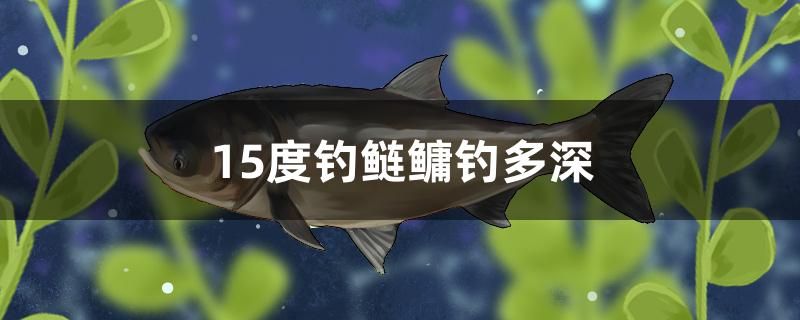 15度钓鲢鳙钓多深 潜水泵