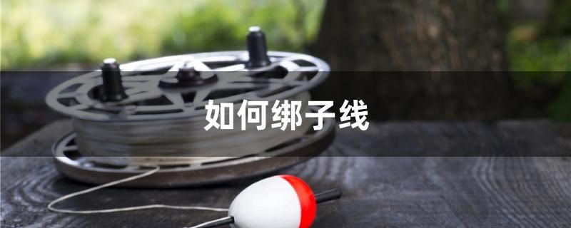 如何绑子线 巨骨舌鱼