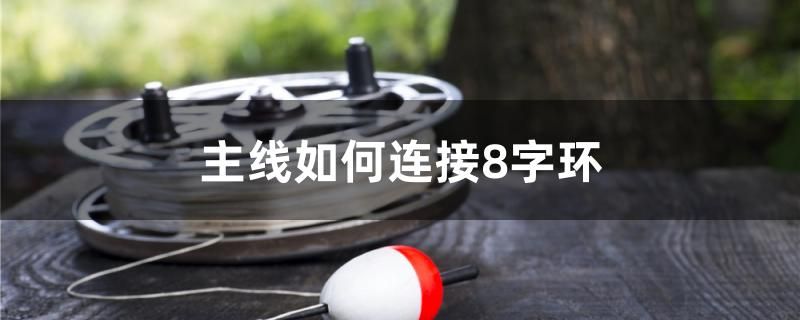 主线如何连接8字环 三间鼠鱼苗